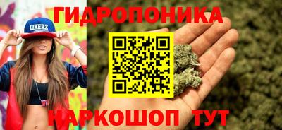 ALPHA PVP Пушкино