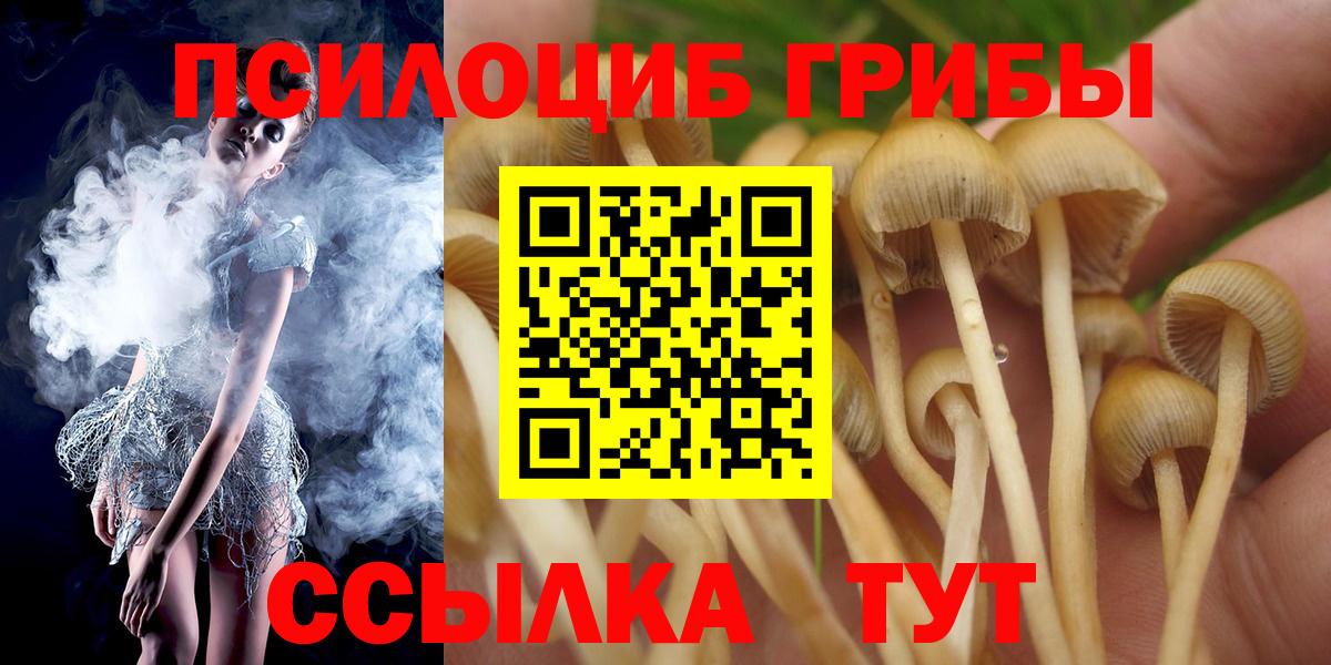 Сосновоборск  Псилоцибиновые грибы ЛСД  Вход с VPN 